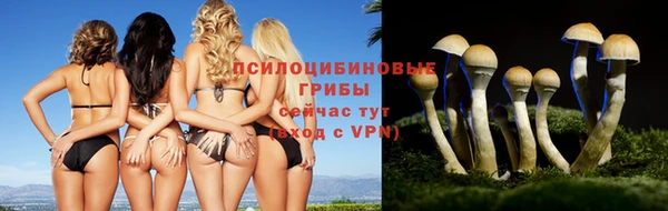 mdpv Володарск