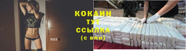 шишки Волосово
