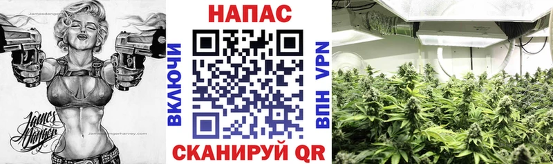 где можно купить наркотик  Первоуральск  блэк спрут ТОР  Конопля OG Kush 
